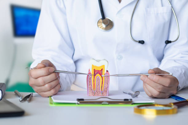 Best Mobile Emergency Dentist in Clearlake, CA
